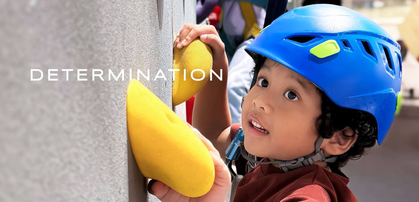 determination