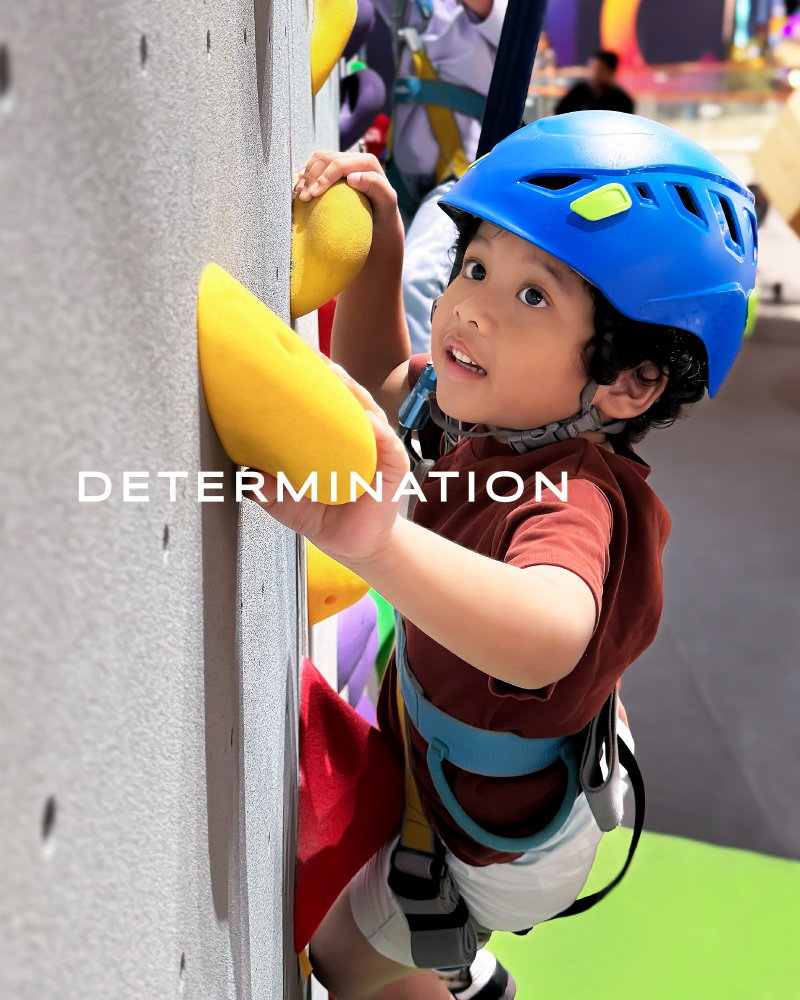 determination