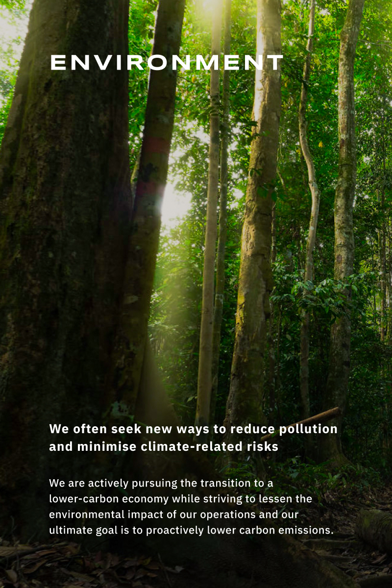 environment