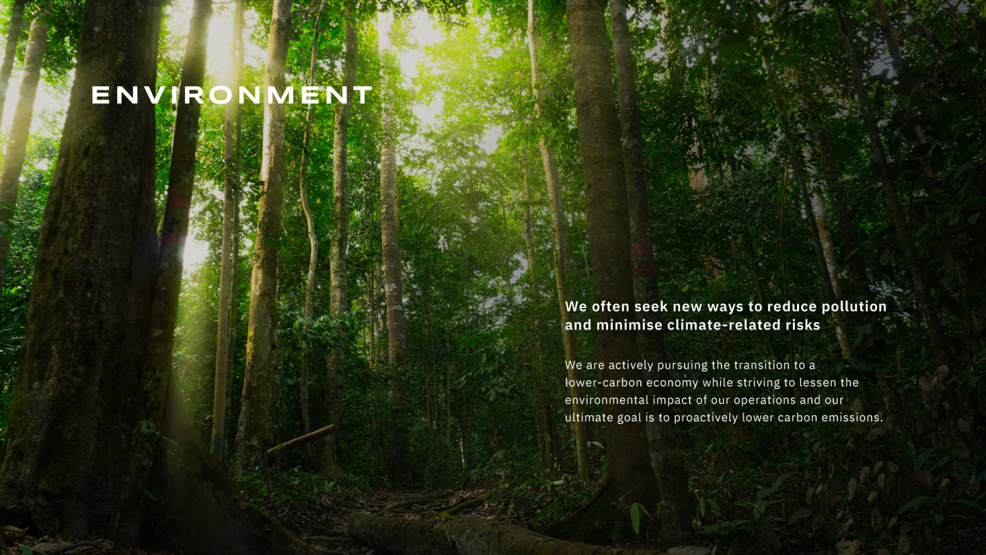 environment