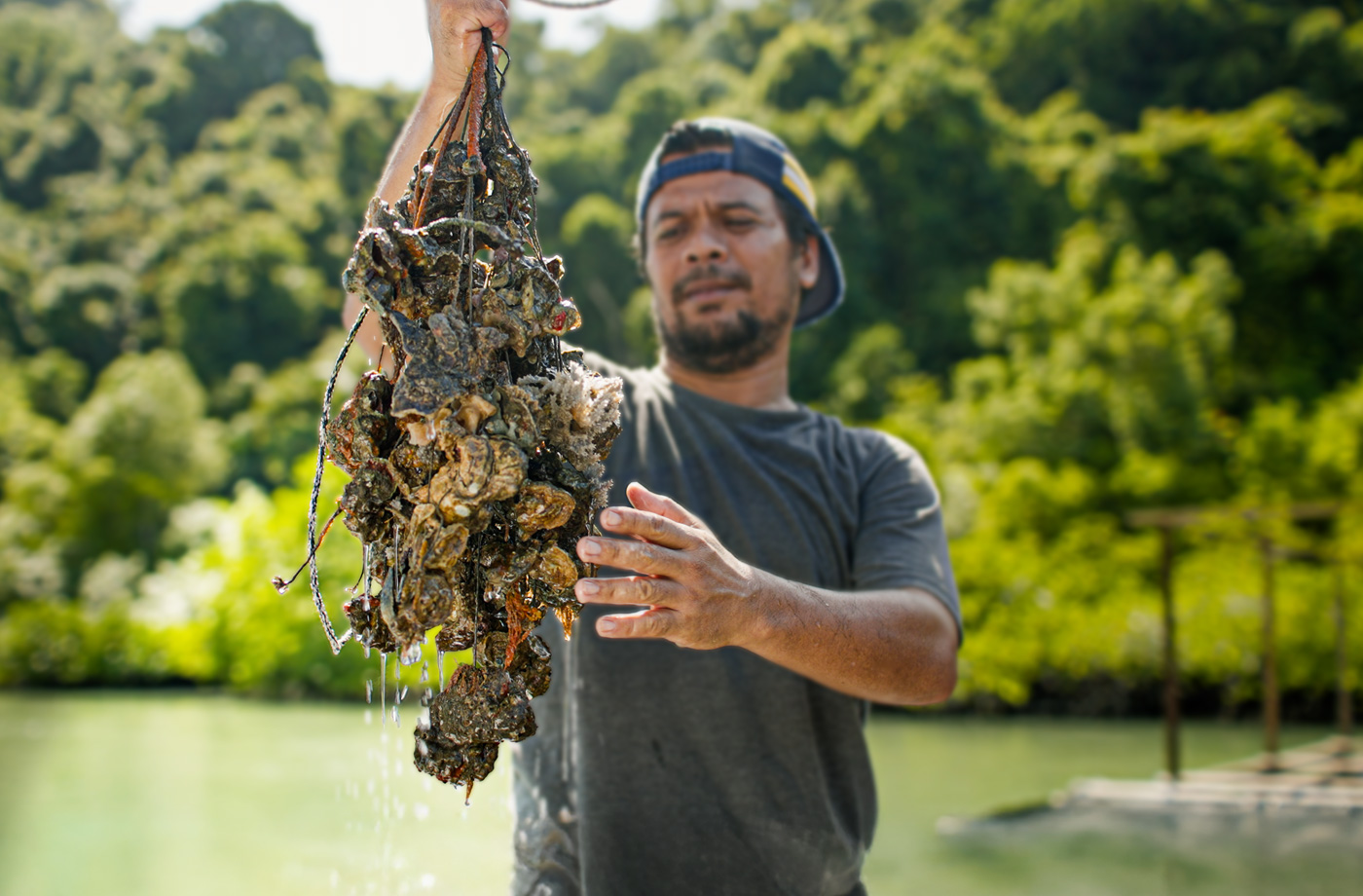 Sustainable-Focused Entrepreneurship Development Programme